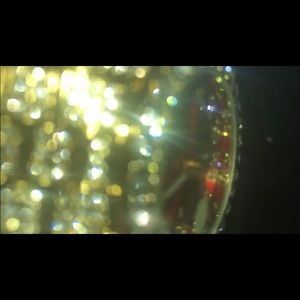 Meet your Posher, Lee junior